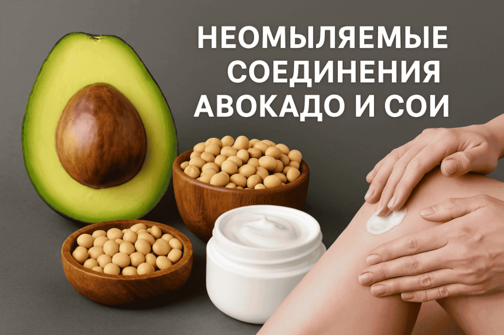 Неомыляемые соединения авокадо и сои: природный источник липидного здоровья кожи и суставов